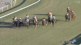 人気の「朝日杯3歳ステークス」動画 17本 - ニコニコ動画
