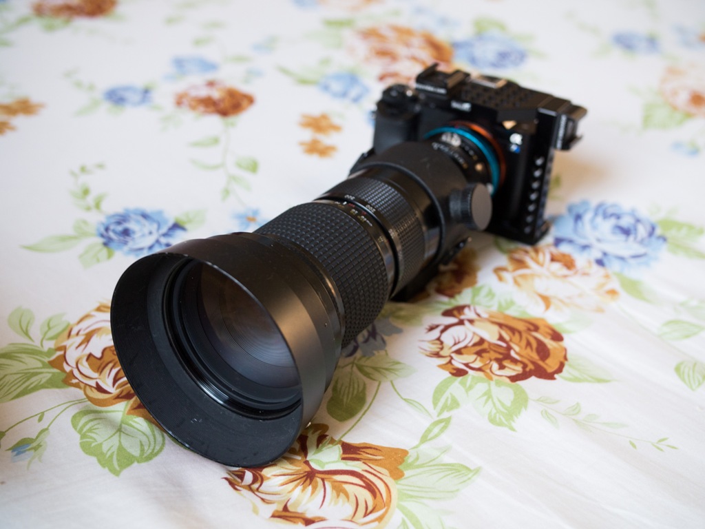 What a surprise find, Nikon Nikkor*ED 50-300mm F/4.5 AI-S – NIGHT