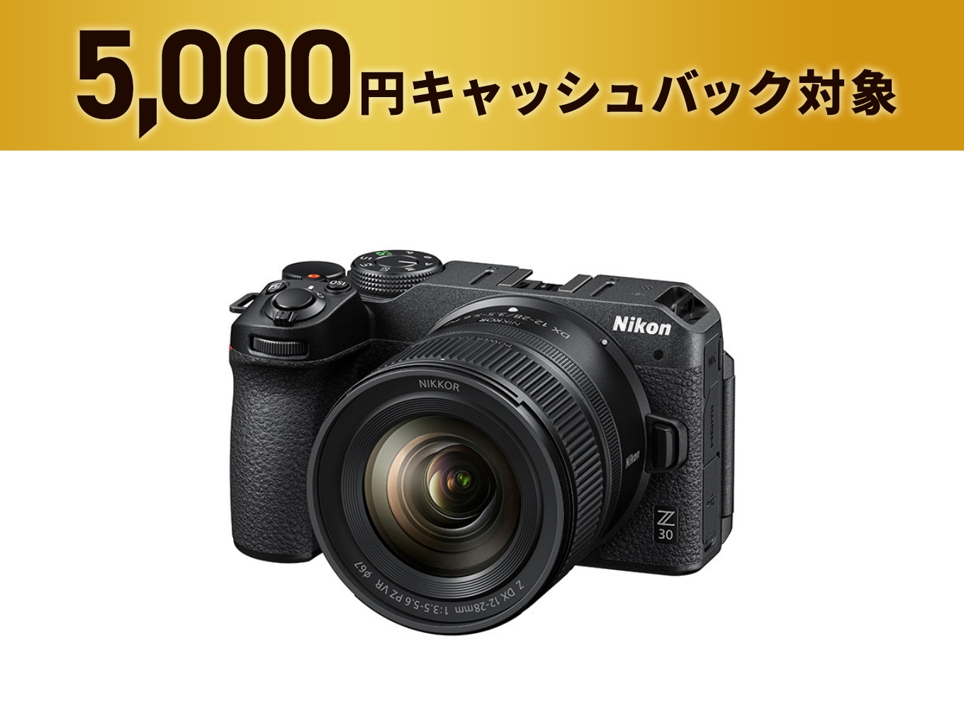 Z30 16-50 VR レンズキット - 公式通販 | ミラーレスカメラ