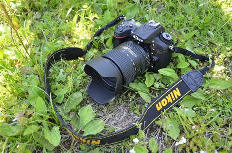 浅水浩二 × AF-S DX NIKKOR 18-300mm f/3.5-6.3G ED VR | 私のNIKKOR