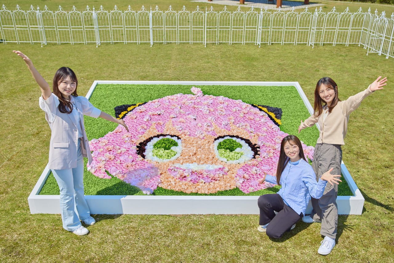 IdentityⅤ 写真家 クリアしおり アカデミーカフェ 2弾 IdentityⅤ