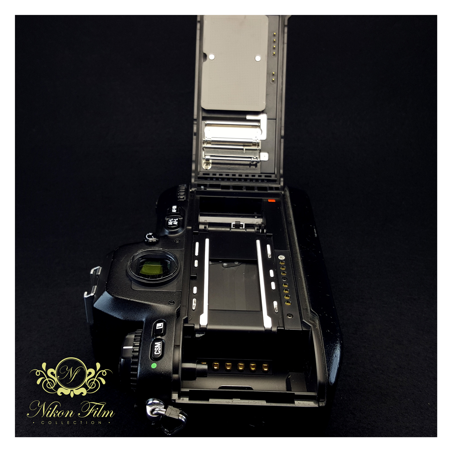 Nikon F100 - NIKON-FILM