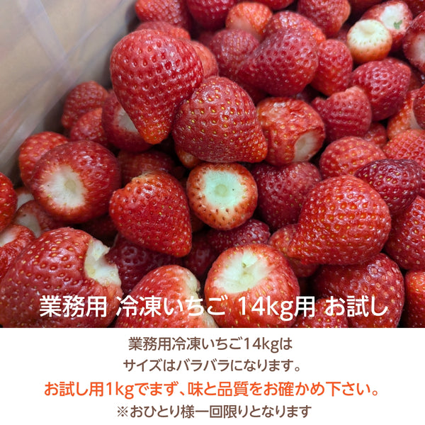 業務用 冷凍いちご お試し用 1kg 国産 栃木県産 イチゴ – にこやか