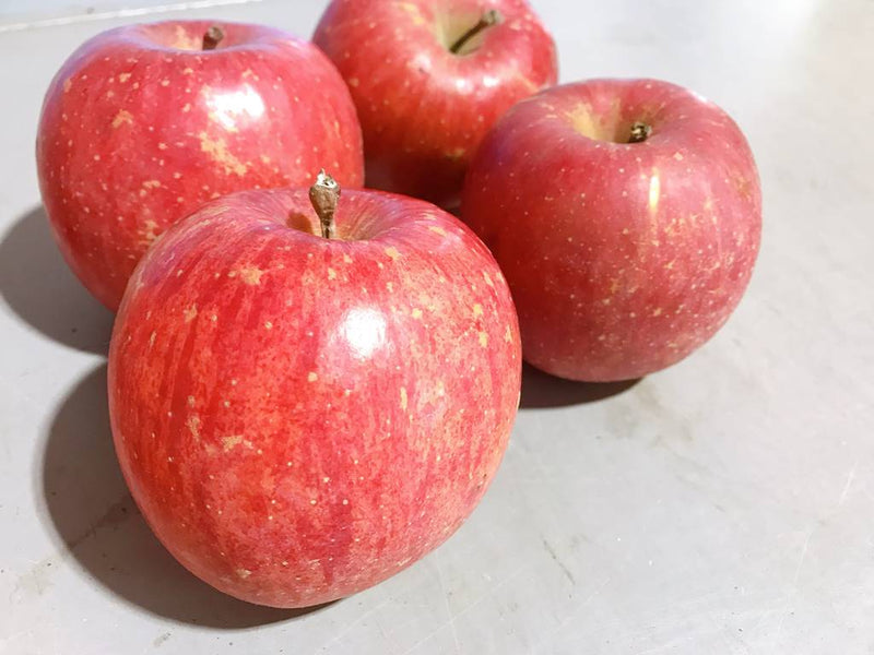 りんご 【佐藤幸男農園】 リンゴ 10kg フジ Lサイズ 26～32玉 贈答用