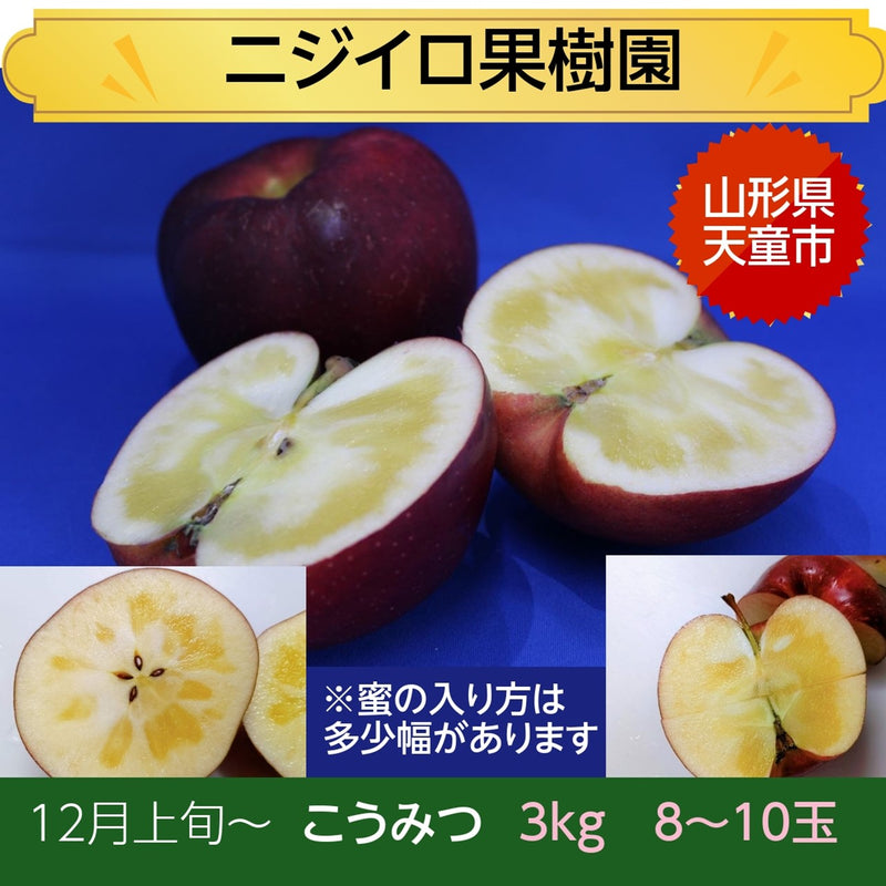 りんご 【ニジイロ果樹園】蜜入 こうみつ 3kg 8～10個 山形県天童市