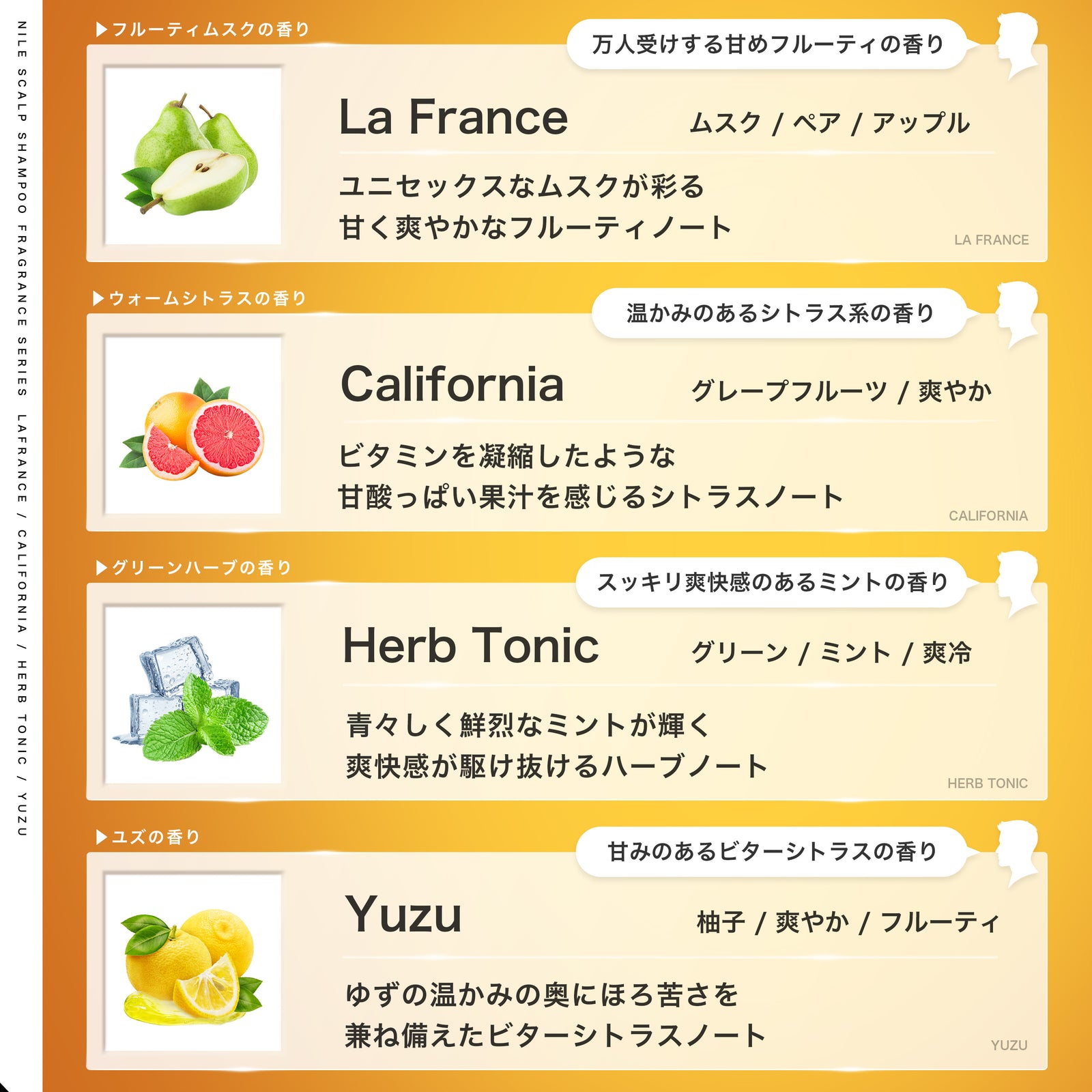 NILE 濃密泡スカルプシャンプー メンズ アミノ酸シャンプー ノン