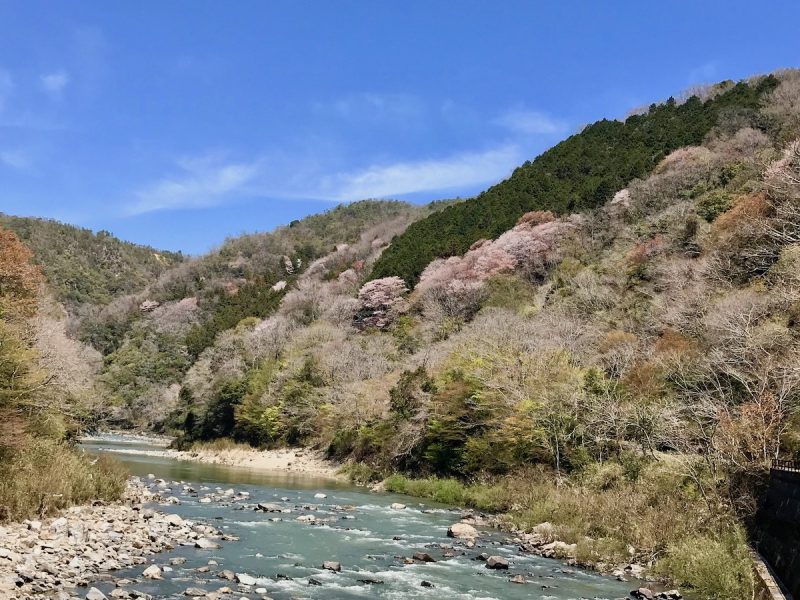 西宮ペディア] 笹部新太郎 – 西宮流 (にしのみやスタイル)