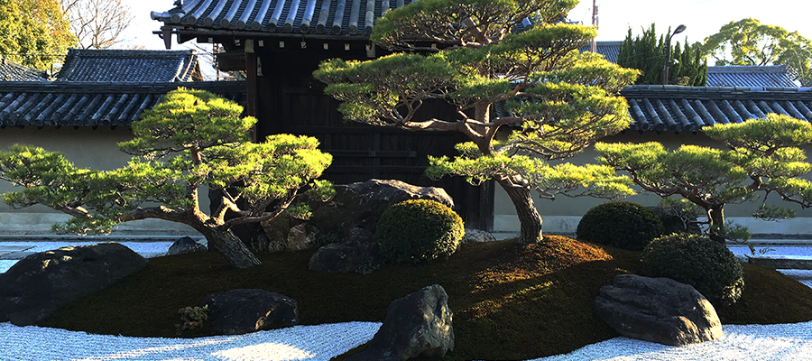 日本庭園の植栽 | Niwasora ニワソラ