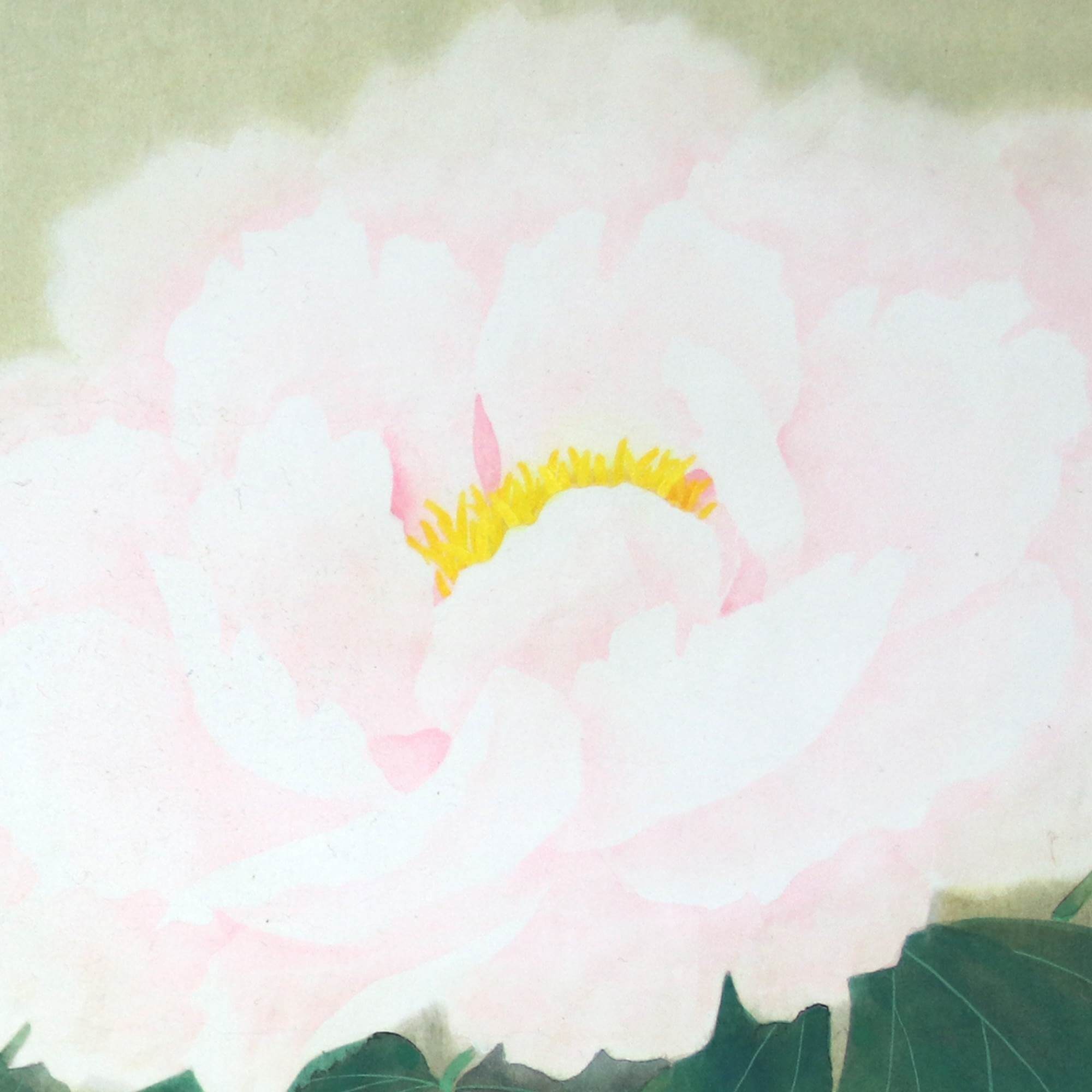 池野扶其 / 牡丹 | 掛軸 － 野村美術