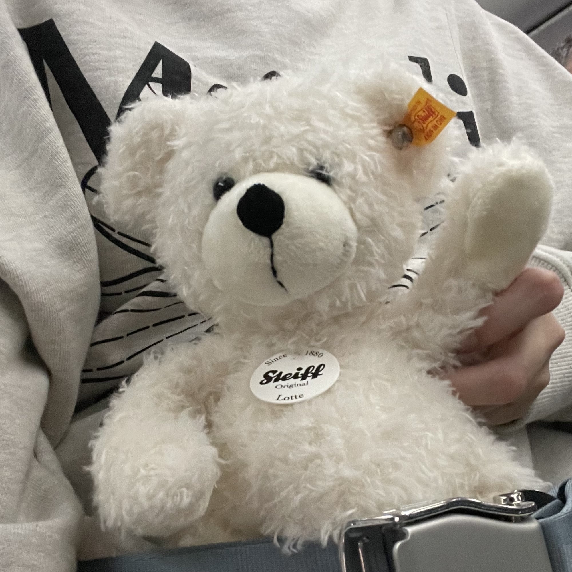 Steiff（シュタイフ）って知ってる？？プレゼントにもぴったり！な