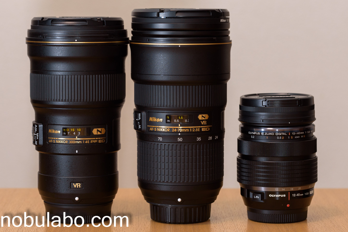 レンズ紹介・作例】ニコン・サンヨンPF AF-S NIKKOR 300mm f/4E PF ED