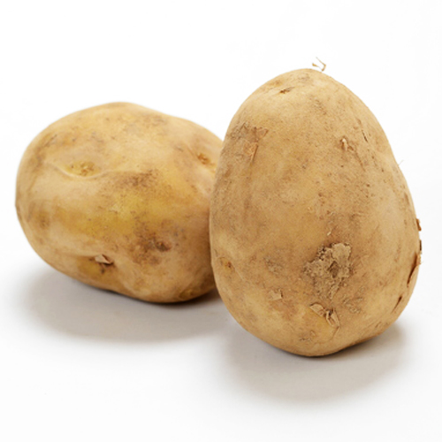 馬鈴薯 | 農業屋.com