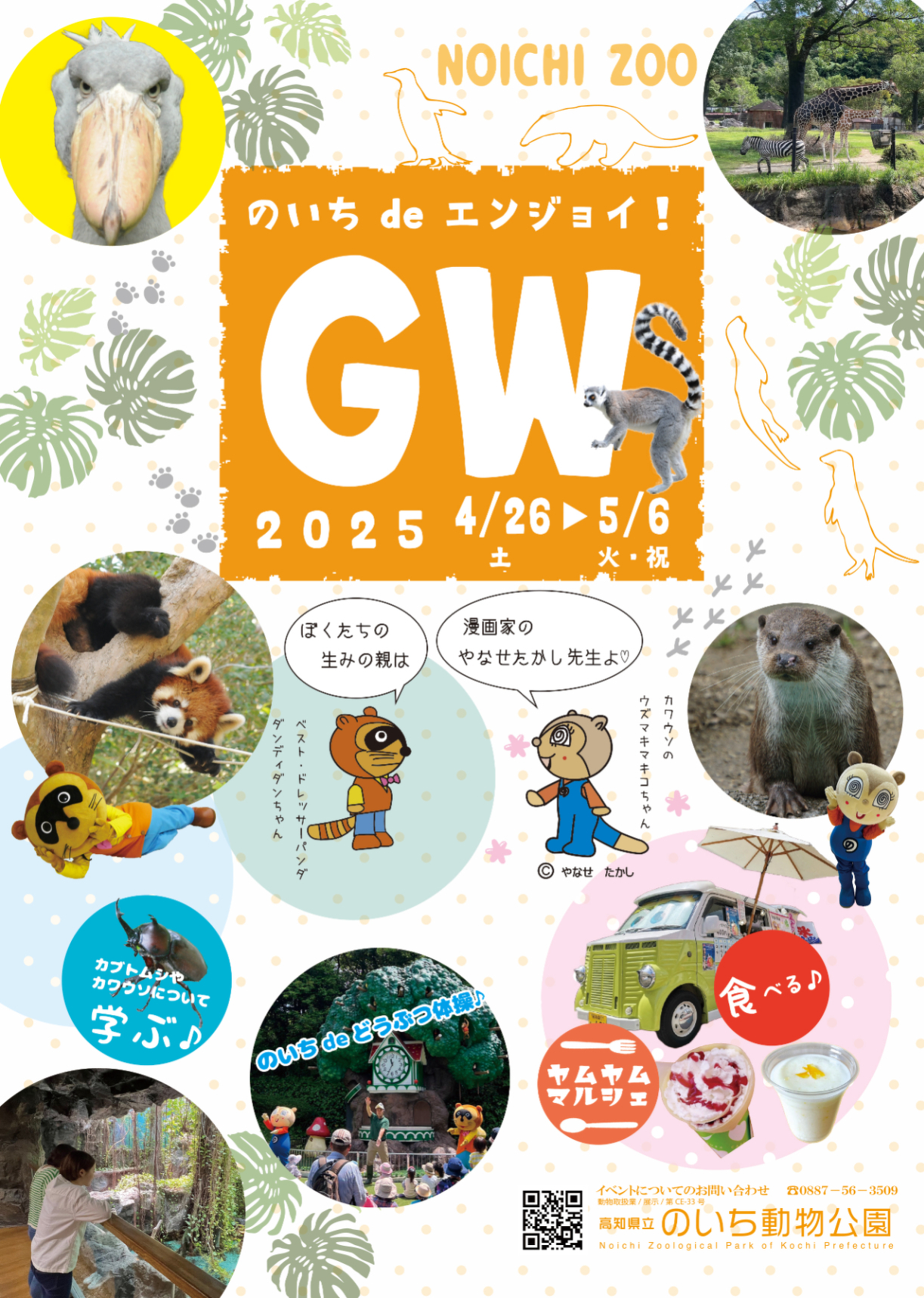 終了しました のいちdeエンジョイ！GW 2025 | イベント情報 | 高知県立