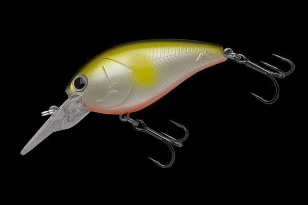 GILL TOP | BASS | NORIES