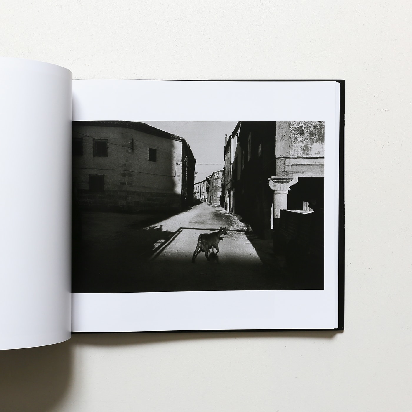 Josef Koudelka: Exiles | ジョセフ・クーデルカ | nostos books