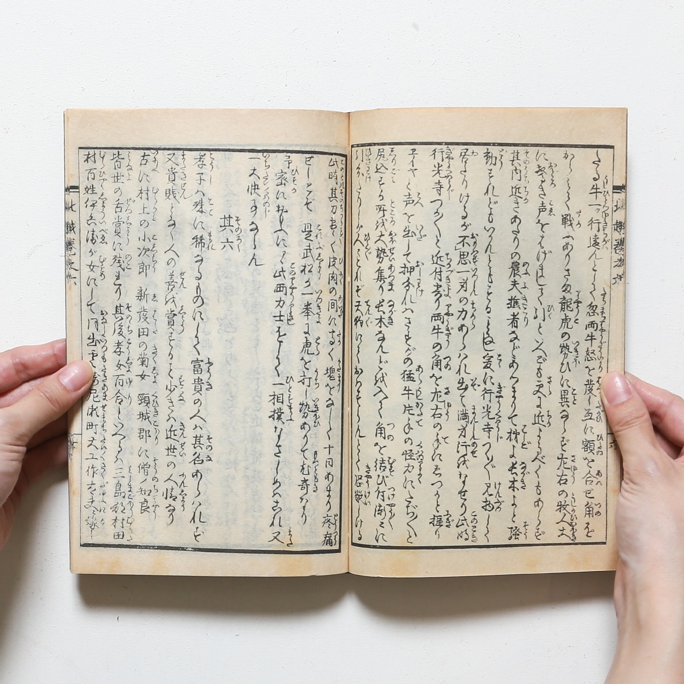 北越奇談 6冊揃 復刻版 | 橘崑崙 | nostos books ノストスブックス