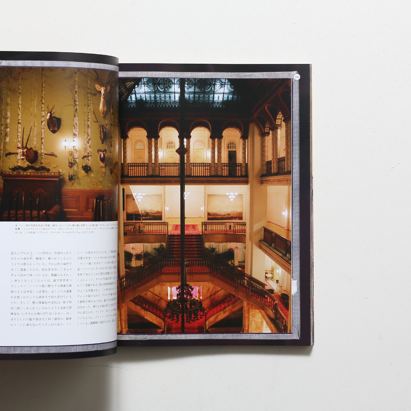 ウェス・アンダーソンの世界 グランド・ブダペスト・ホテル | DU BOOKS