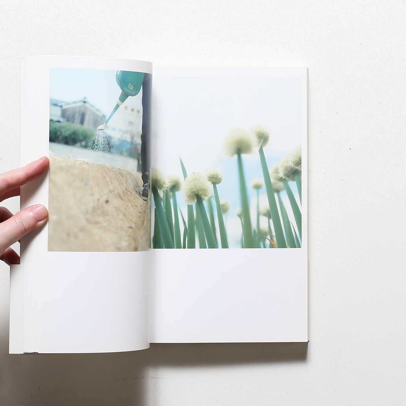 Cui Cui | 川内倫子 | nostos books ノストスブックス