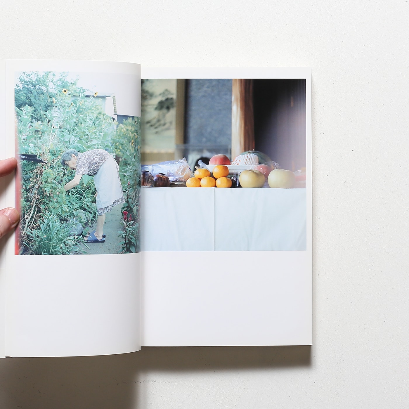 Cui Cui | 川内倫子 | nostos books ノストスブックス