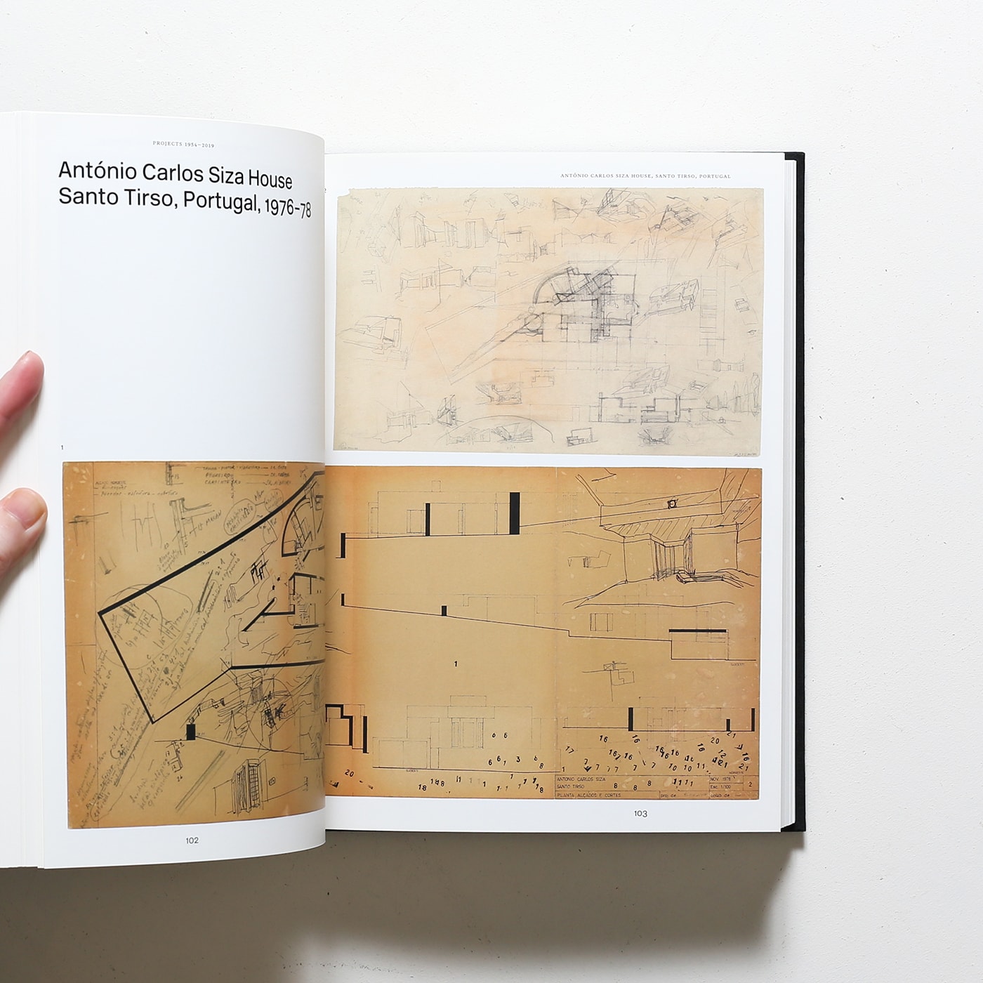Alvaro Siza: In／Discipline | アルヴァロ・シザ | nostos books