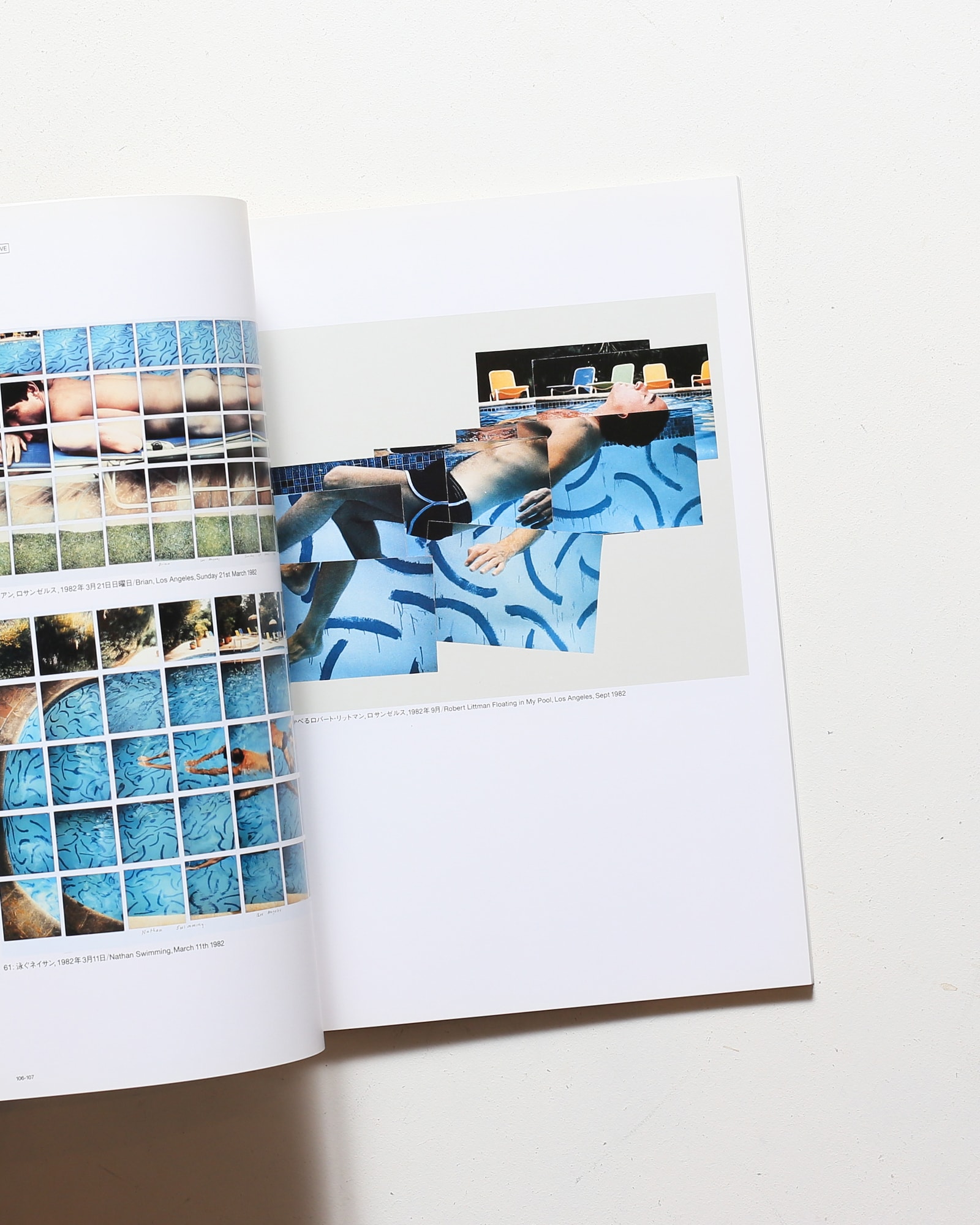 Hockney in California デイヴィッド・ホックニー展 | nostos books