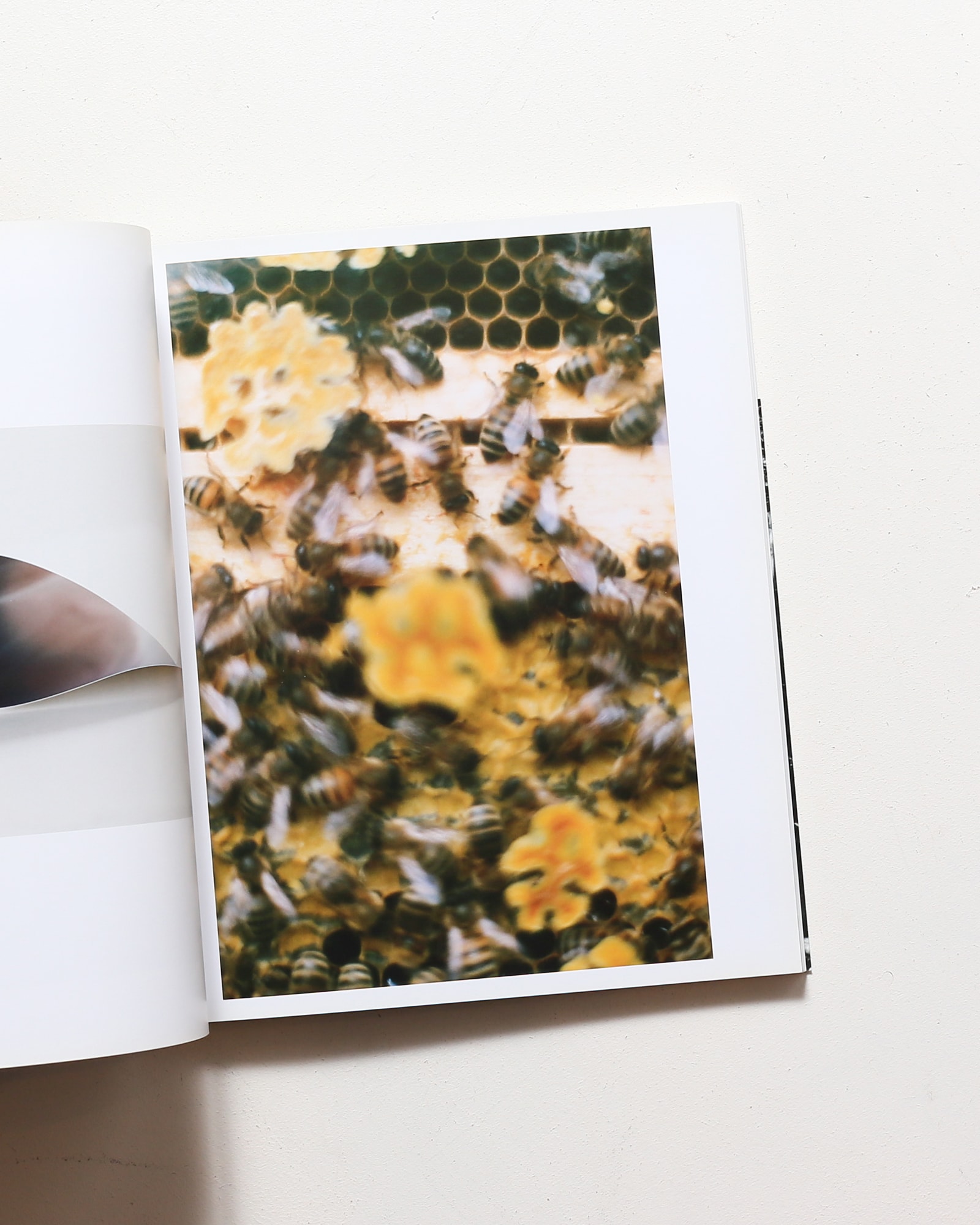 Wolfgang Tillmans: Serpentine Gallery | ヴォルフガング