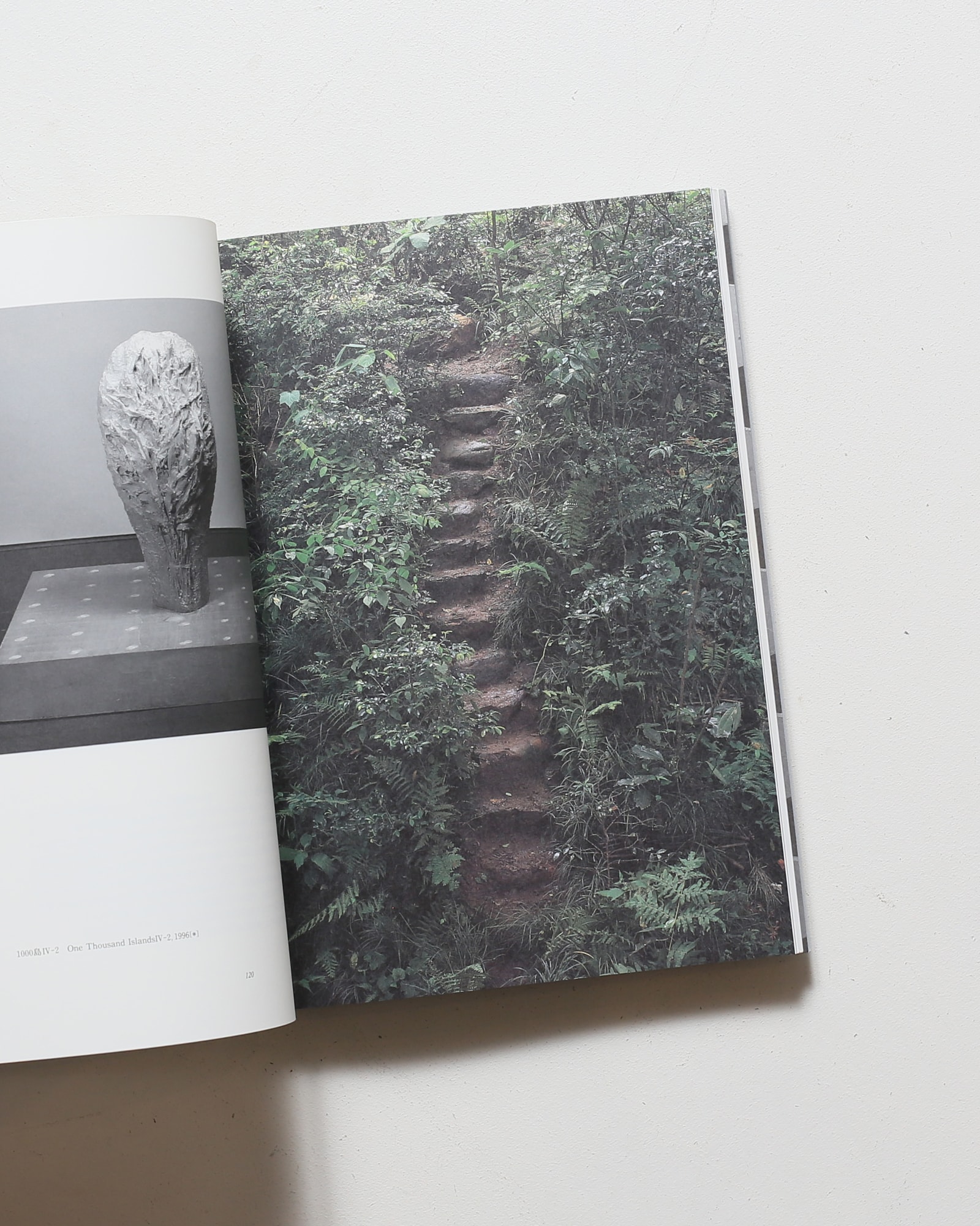 Isamu Wakabayashi 若林奮 1989年以後 | 神奈川県立近代美術館