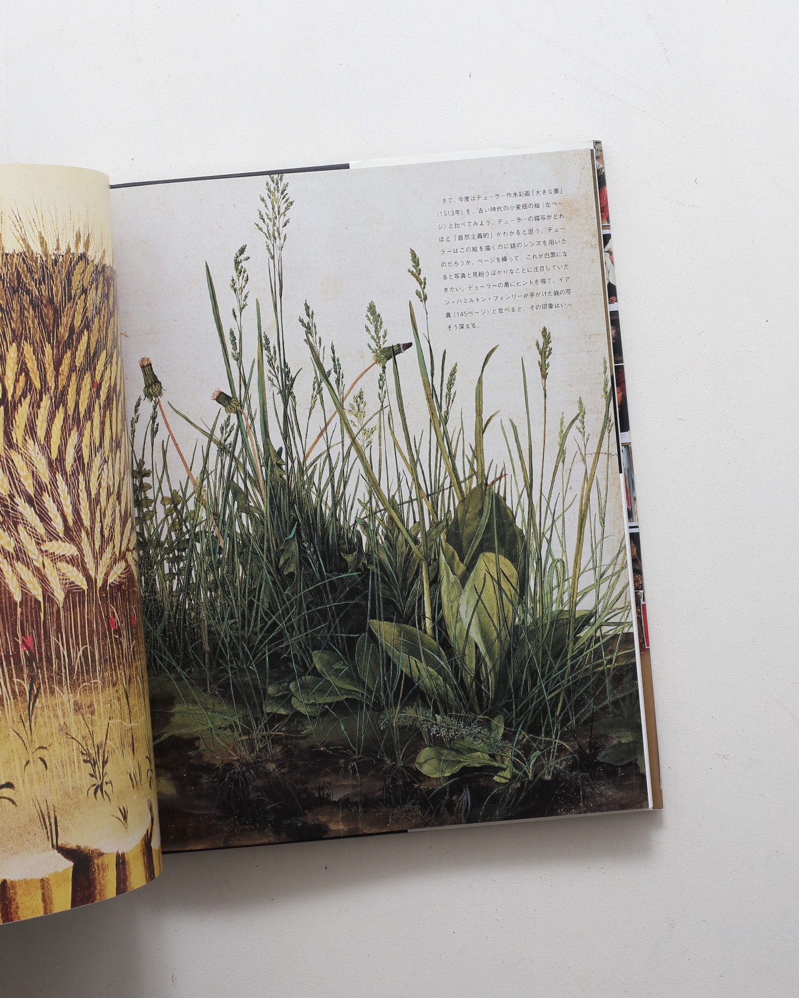 秘密の知識 巨匠も用いた知られざる技術の解明 | デイヴィッド