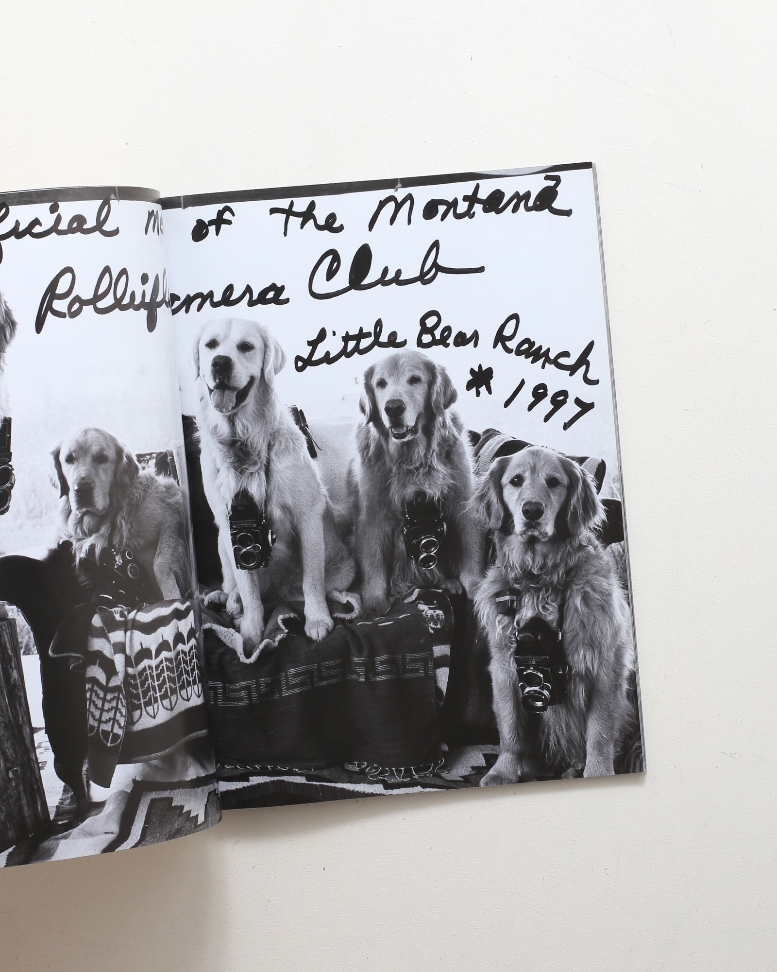 A Letter To True: A Film Journal | Bruce Weber | nostos books