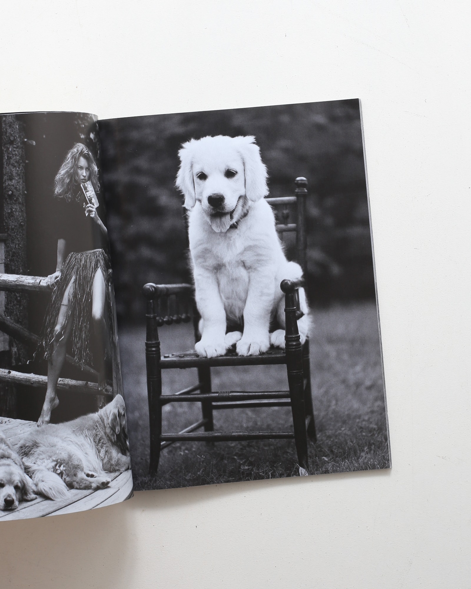 A Letter To True: A Film Journal | Bruce Weber | nostos books