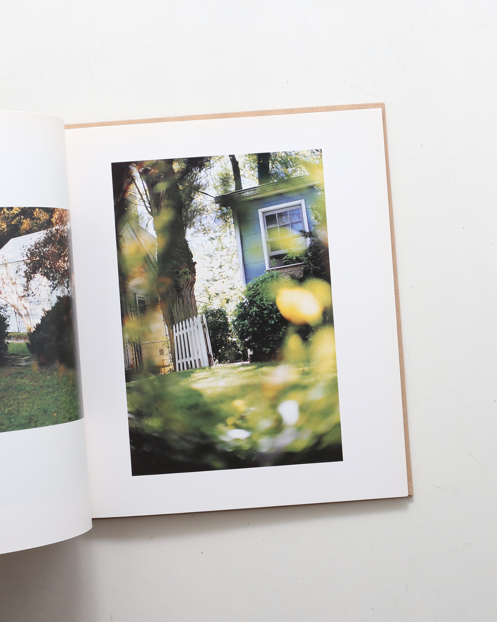 Between Maple and Chestnut | Terri Weifenbach テリ・ワイフェン