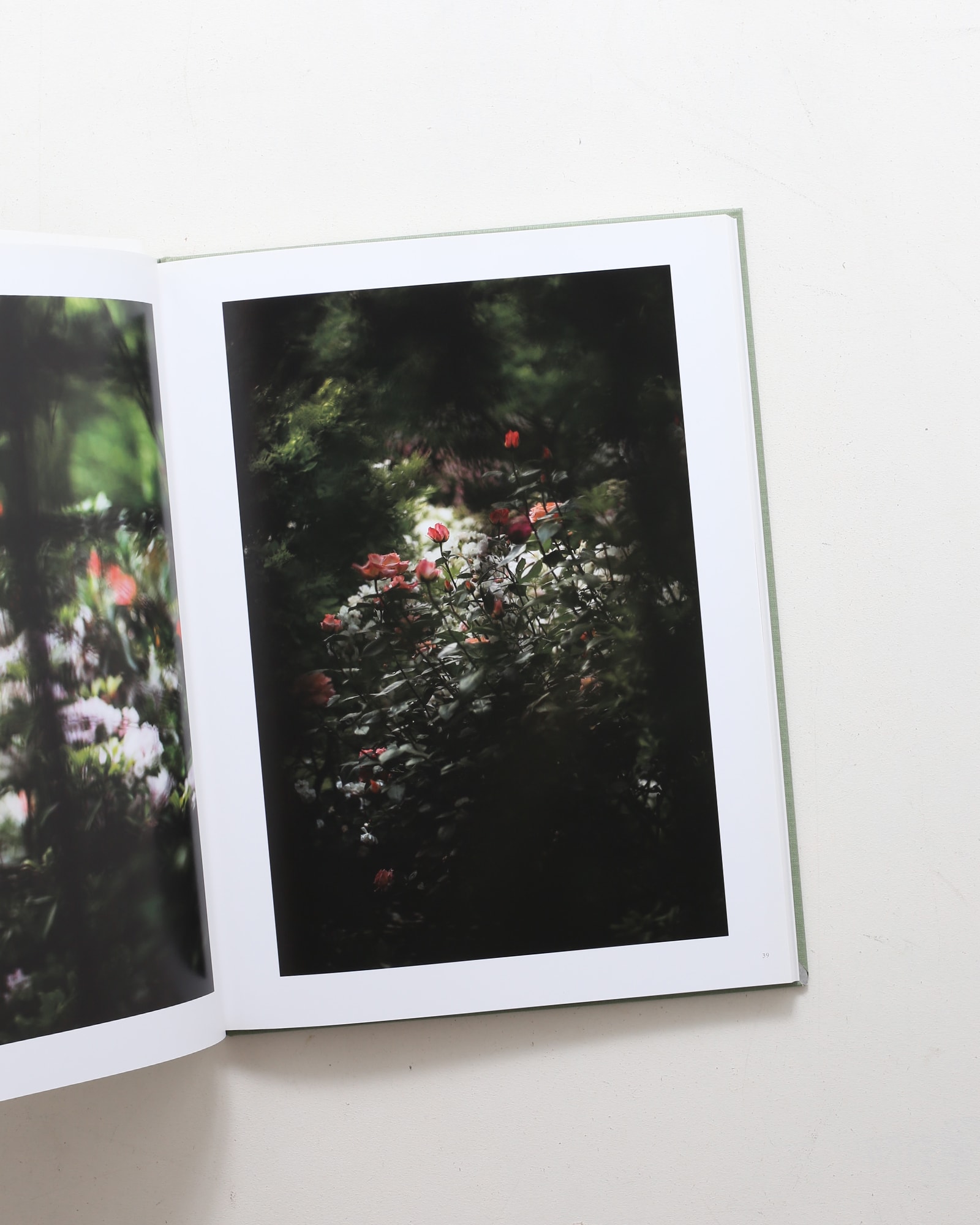 Terri Weifenbach: The May Sun | 山田裕理 | nostos books ノストス