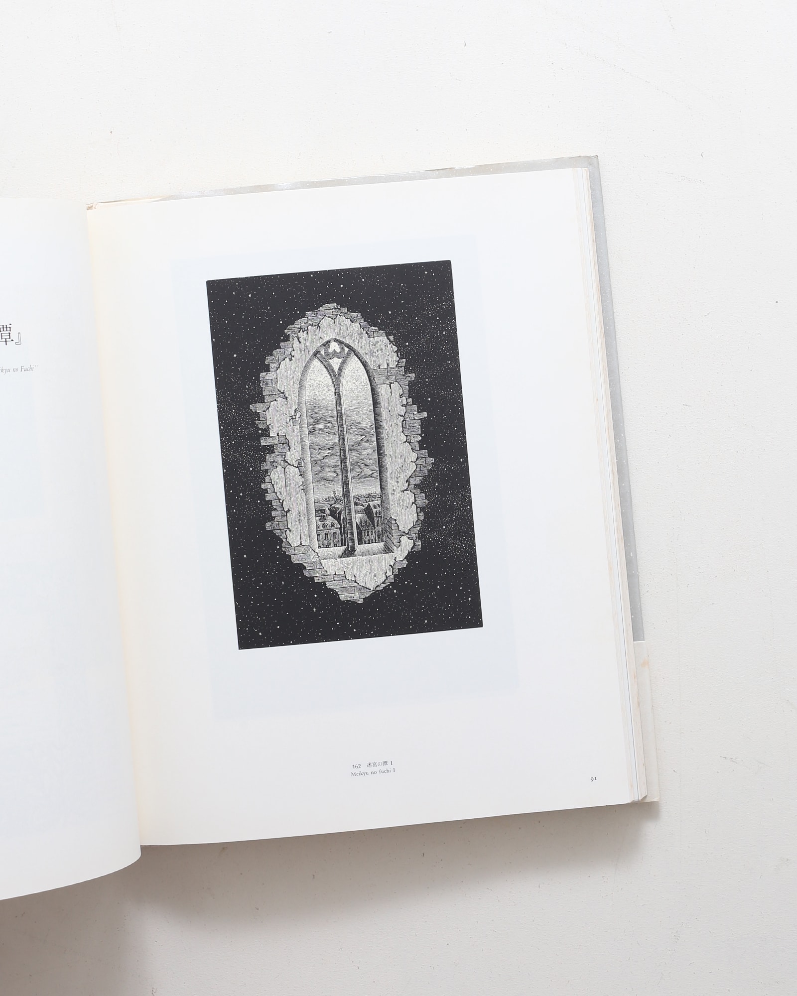 柄澤齊 木口木版画集 | 阿部出版 | nostos books ノストスブックス