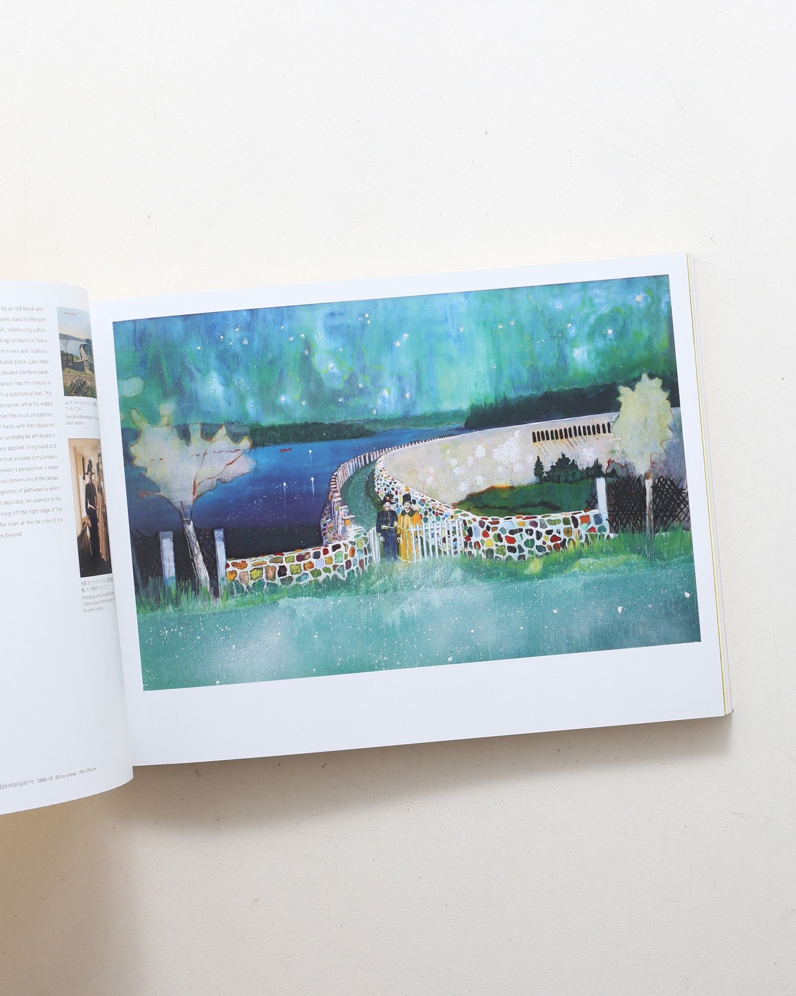 PETER DOIG ピーター・ドイグ展 | nostos books ノストスブックス