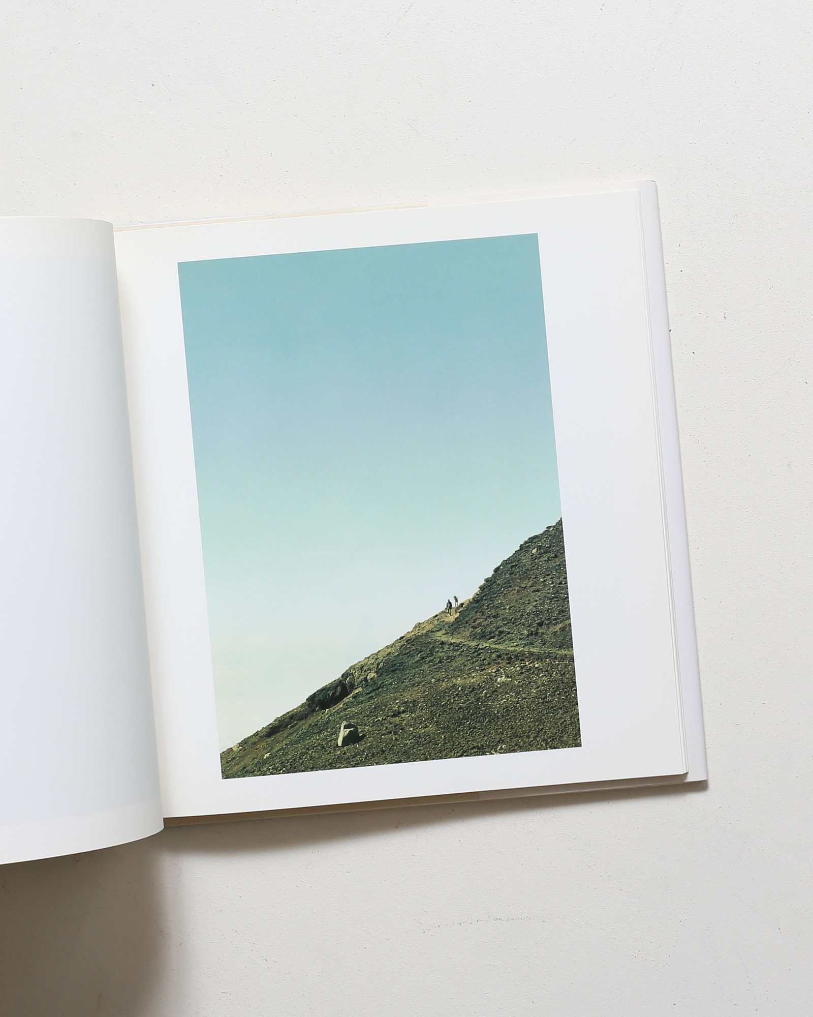 鳥を見る | 野口里佳 | nostos books ノストスブックス