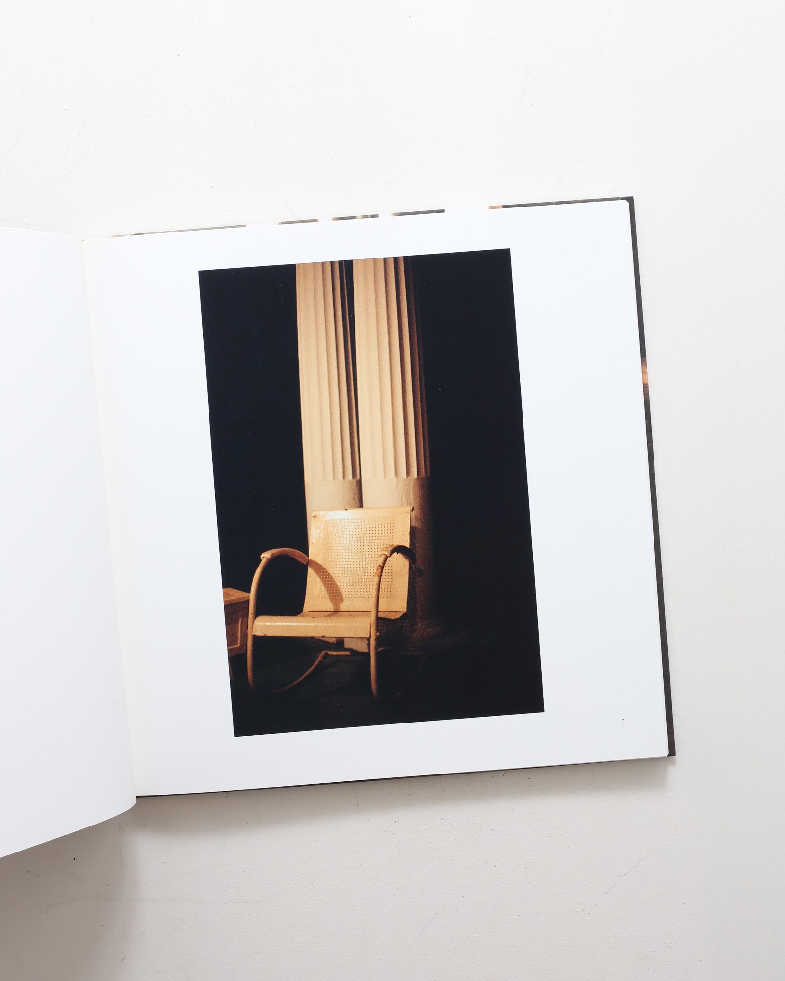 The Democratic Forest | William Eggleston ウィリアム・エグルストン