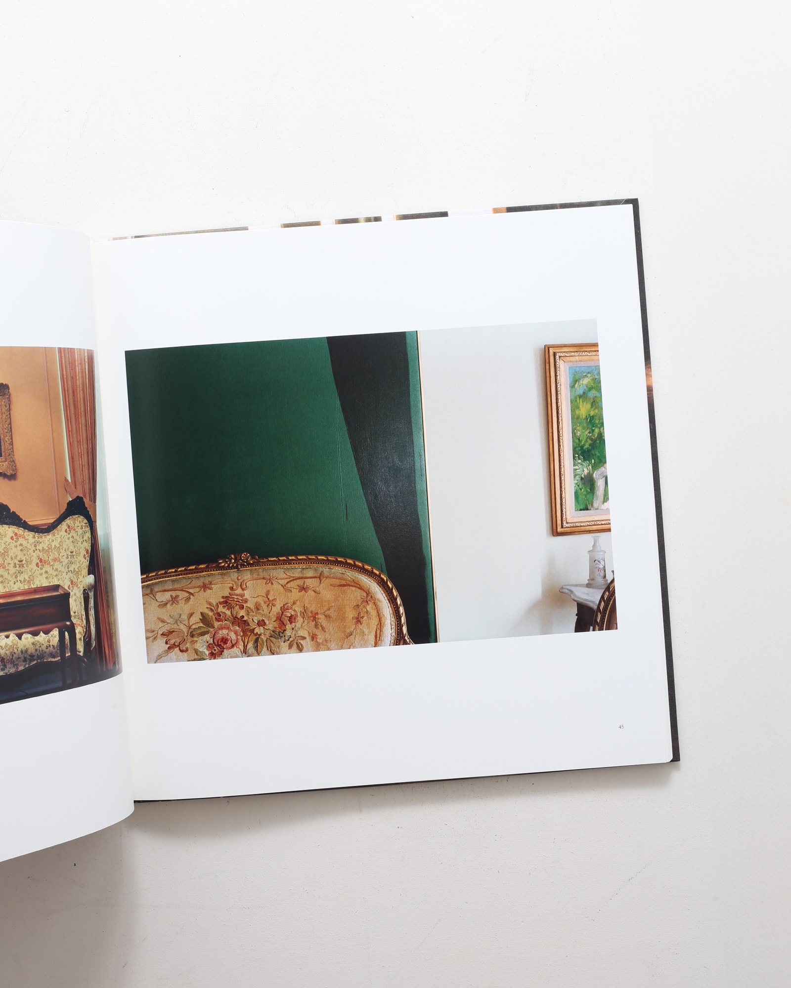 The Democratic Forest | William Eggleston ウィリアム・エグルストン