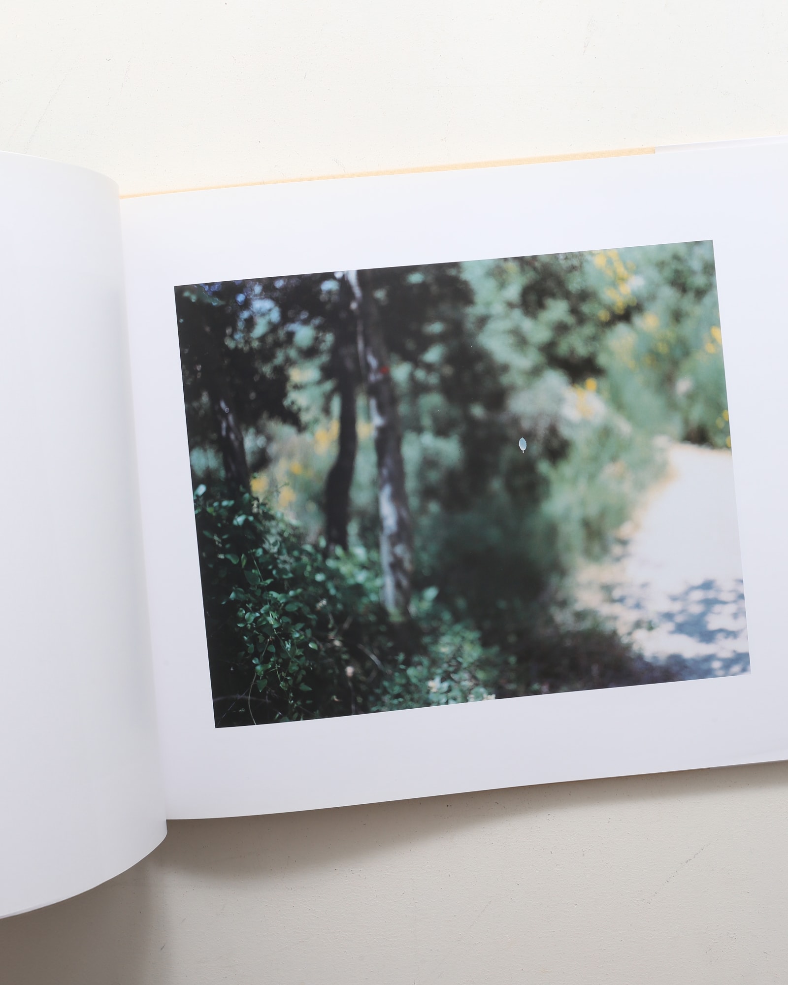 Mont Sainte Victoire | 鈴木理策 | nostos books ノストスブックス