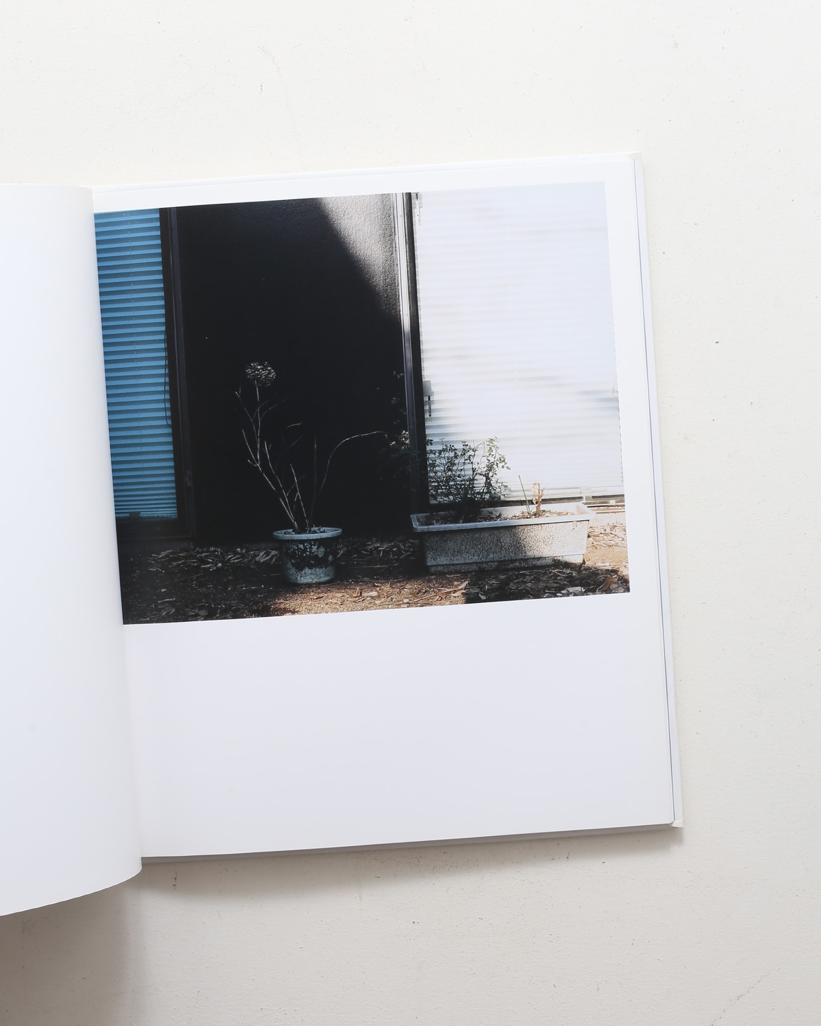 Shapes of Blooming | 鈴木親 | nostos books ノストスブックス