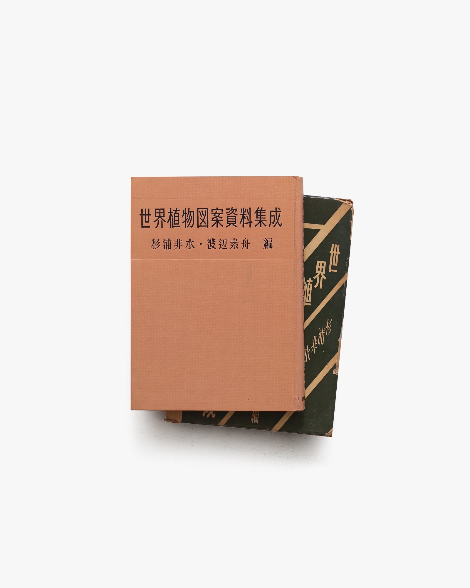 世界植物図案資料集成 | 杉浦非水、渡辺素舟 | nostos books ノストス