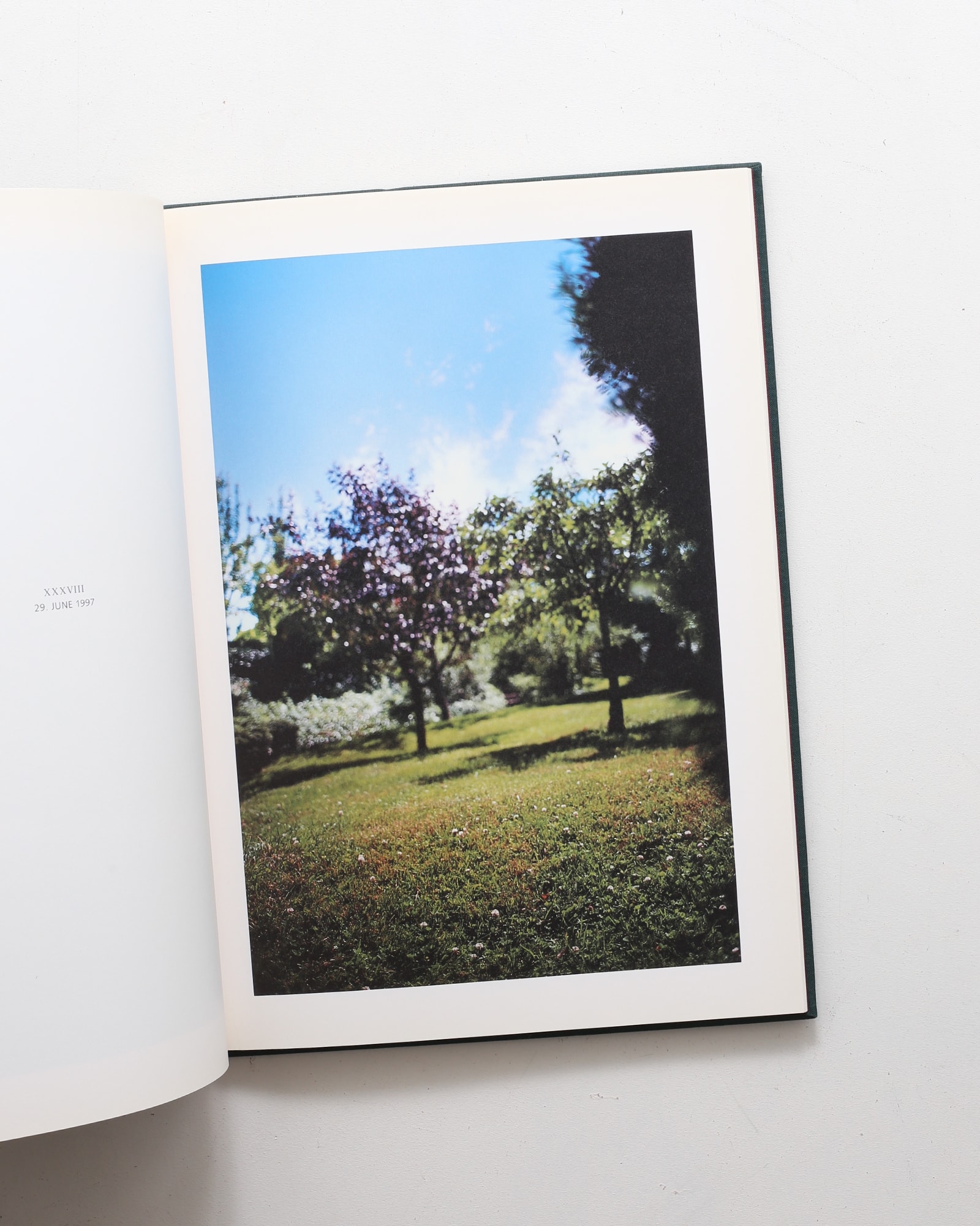 Hunter Green | Terri Weifenbach テリ・ワイフェンバック | nostos