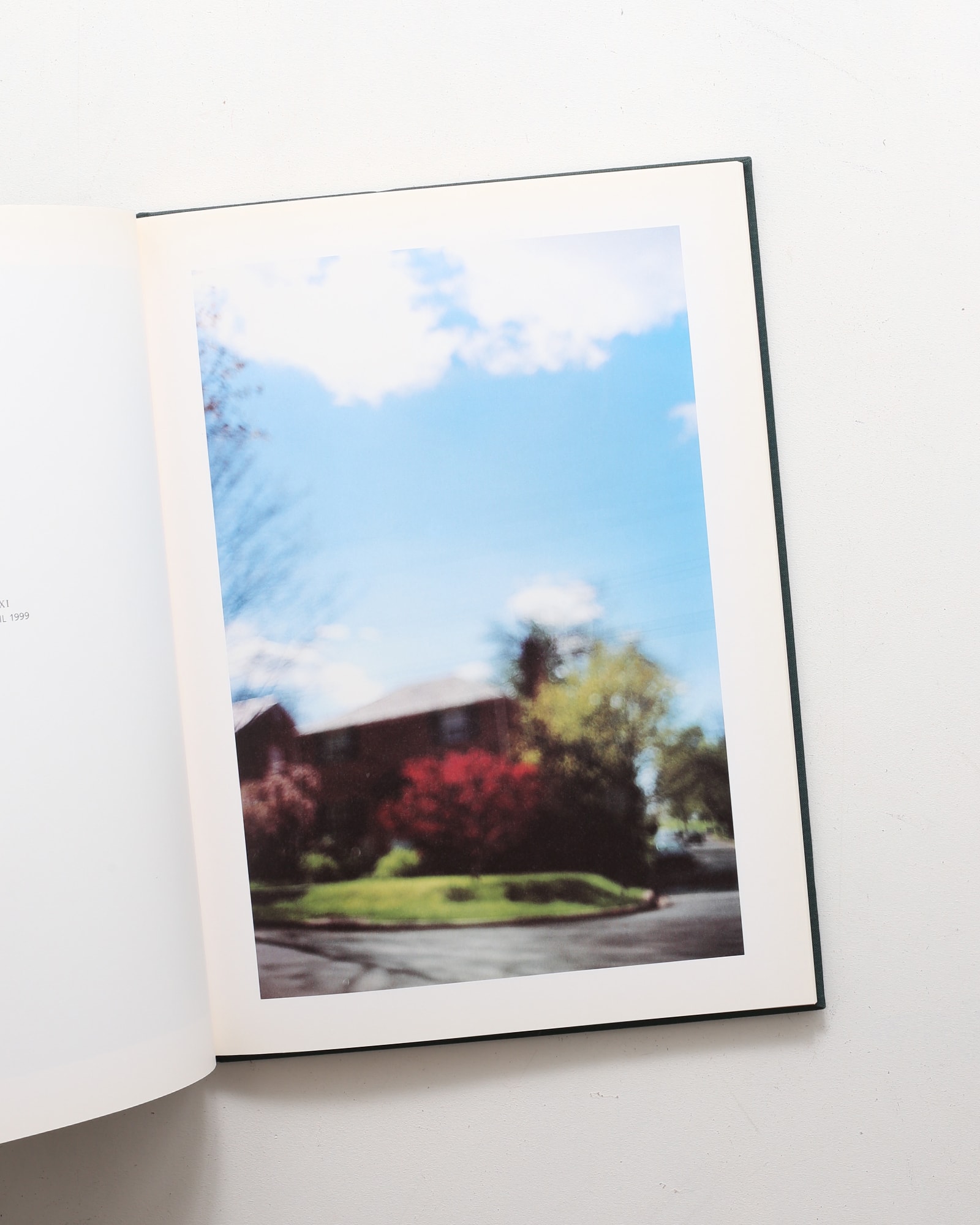 Hunter Green | Terri Weifenbach テリ・ワイフェンバック | nostos