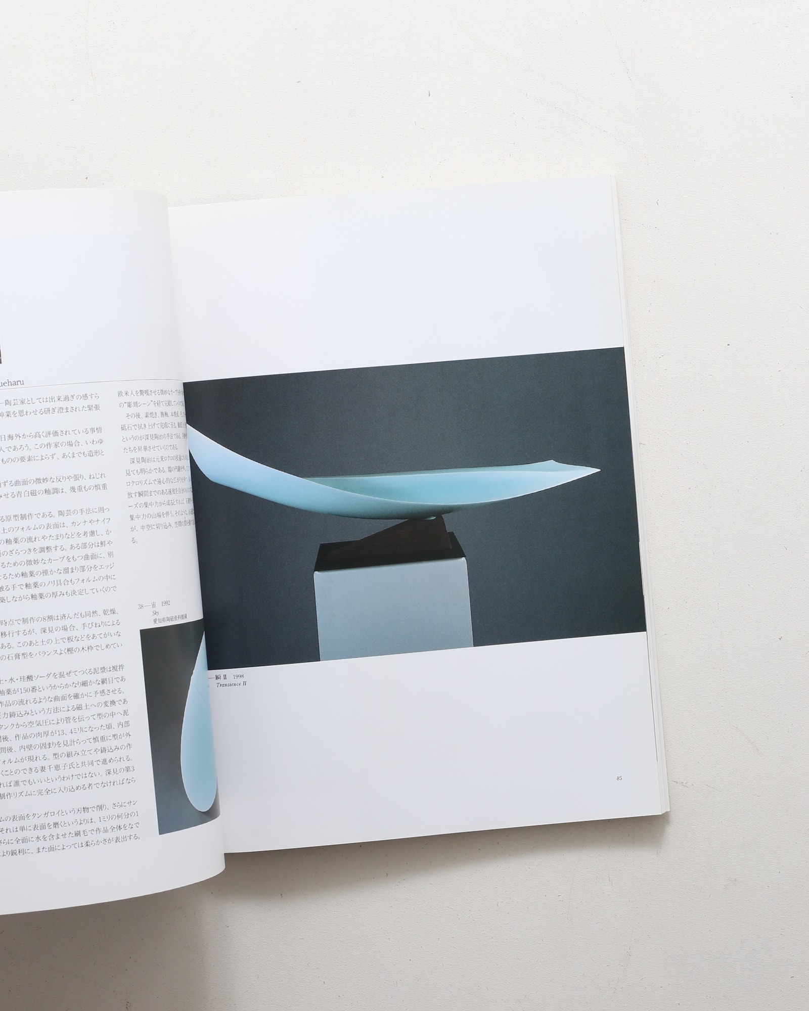 現代陶芸の精鋭 21世紀を開くやきものの手法とかたち | nostos books