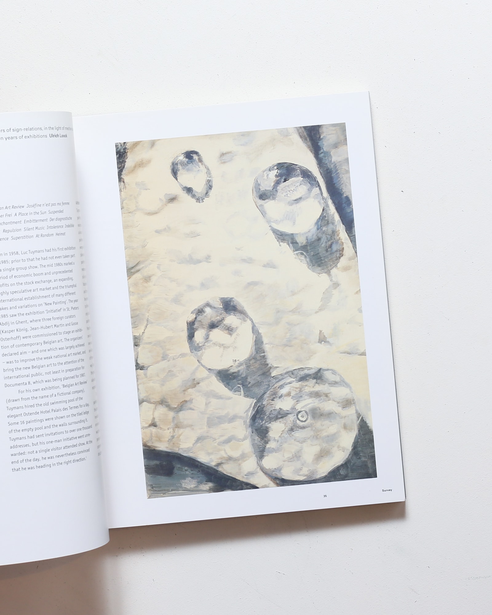 Luc Tuymans | nostos books ノストスブックス