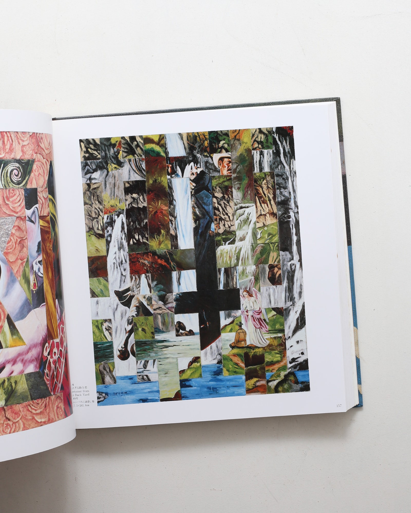 横尾忠則全絵画 | nostos books ノストスブックス