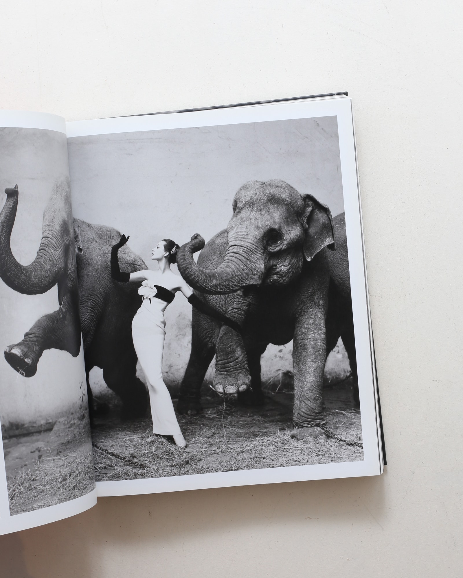 Avedon Fashion 1944-2000 | nostos books ノストスブックス