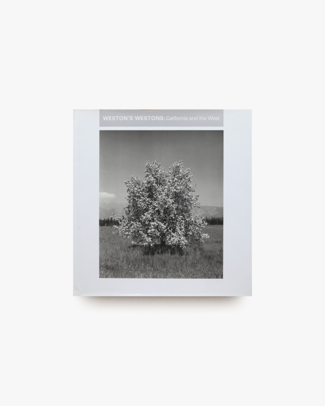 Sarah Moon: Now and Then | nostos books ノストスブックス