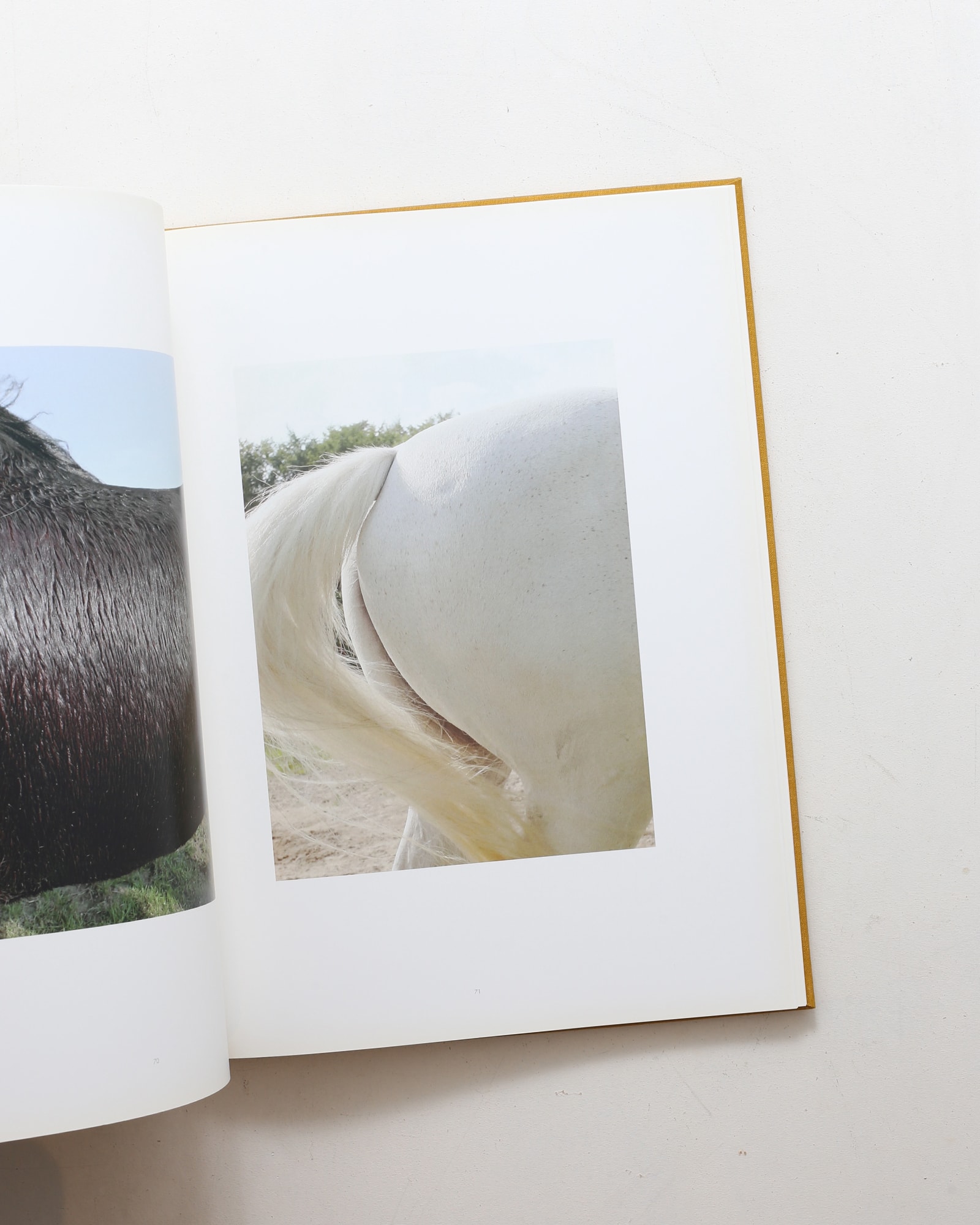 Horse | Jitka Hanzlova | nostos books ノストスブックス