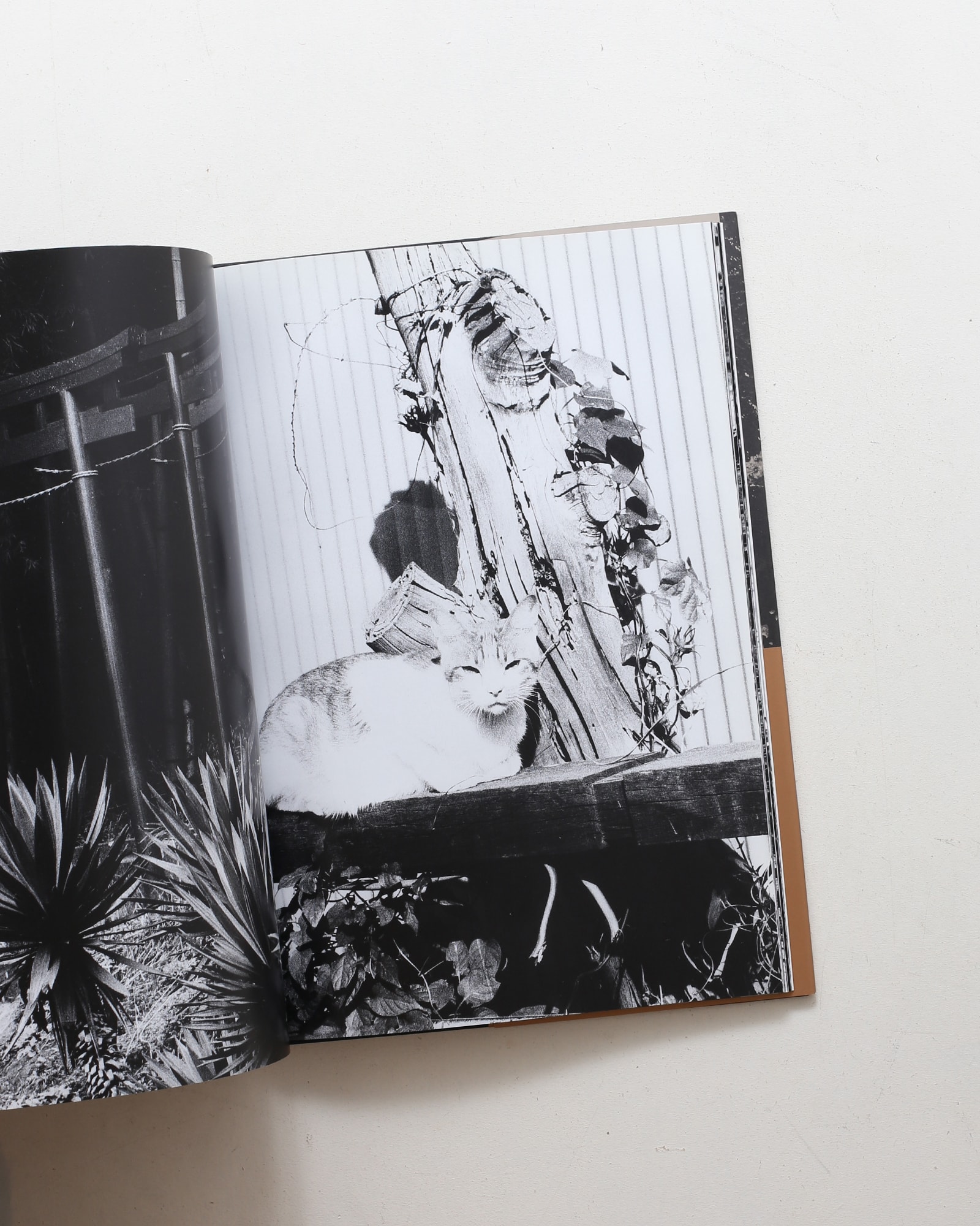 ADIEU A X（アデュウ ア エックス） 新装版 | 中平卓馬 | nostos books