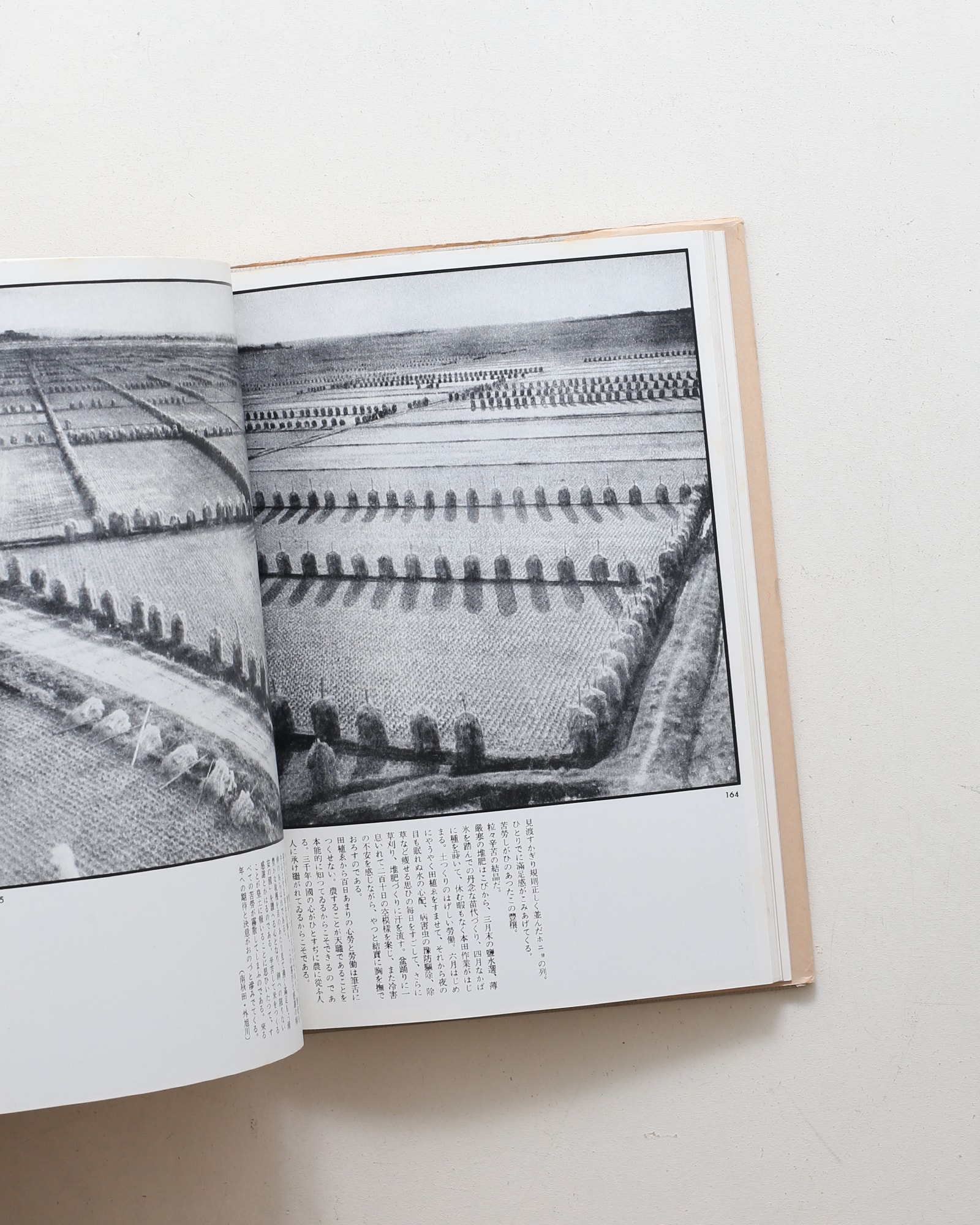 雪国の民俗 | 柳田国男、三木茂 | nostos books ノストスブックス